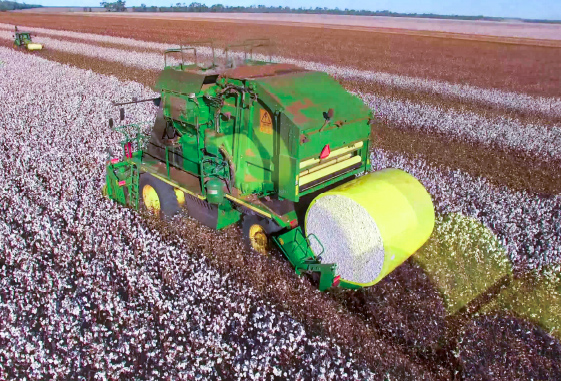 棉花收割機